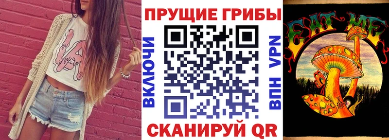 кракен онион  маркетплейс какой сайт  Псилоцибиновые грибы Psilocybe  Светлоград 